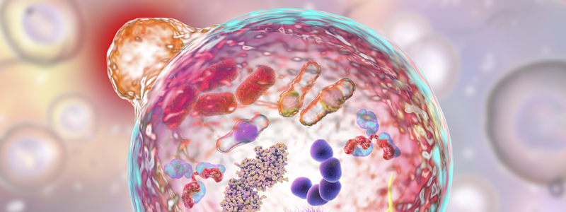 Cell Analysis Solutions | Agilent Singapore